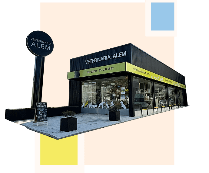 Veterinaria Alem Store